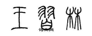 陈墨王习林篆书个性签名怎么写