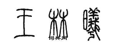 陈墨王林曦篆书个性签名怎么写