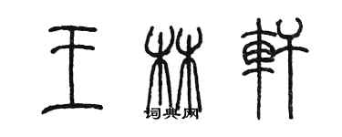 陈墨王林轩篆书个性签名怎么写