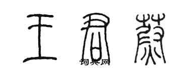 陈墨王君蔚篆书个性签名怎么写