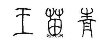 陈墨王苗青篆书个性签名怎么写