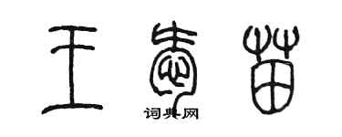 陈墨王爱苗篆书个性签名怎么写