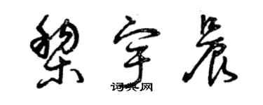曾庆福黎宇晨草书个性签名怎么写