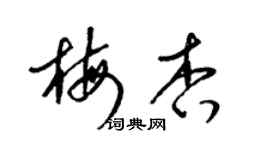 梁锦英梅杏草书个性签名怎么写