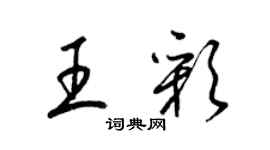 梁锦英王彩草书个性签名怎么写