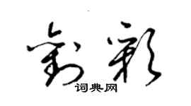 梁锦英刘彩草书个性签名怎么写