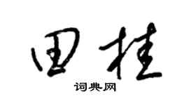梁锦英田桂草书个性签名怎么写