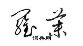 梁锦英罗茉草书个性签名怎么写
