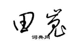 梁锦英田嵬草书个性签名怎么写