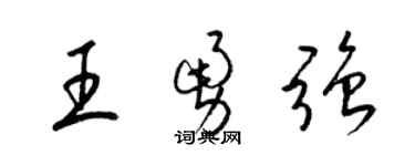 梁锦英王勇强草书个性签名怎么写