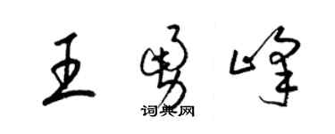 梁锦英王勇峰草书个性签名怎么写