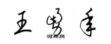 梁锦英王勇年草书个性签名怎么写