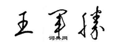 梁锦英王军胜草书个性签名怎么写
