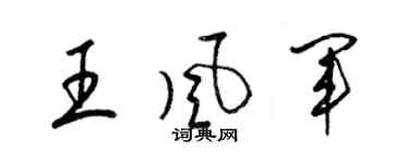 梁锦英王风军草书个性签名怎么写