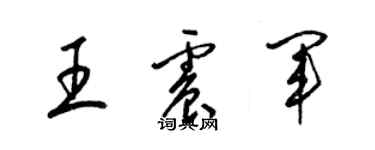 梁锦英王震军草书个性签名怎么写