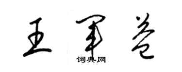 梁锦英王军益草书个性签名怎么写