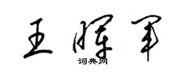 梁锦英王晖军草书个性签名怎么写
