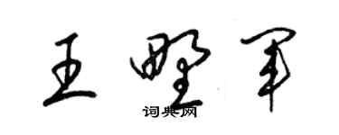 梁锦英王野军草书个性签名怎么写