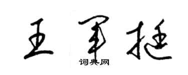 梁锦英王军挺草书个性签名怎么写