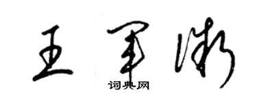 梁锦英王军微草书个性签名怎么写