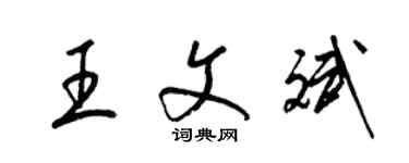 梁锦英王文斌草书个性签名怎么写