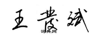 梁锦英王发斌草书个性签名怎么写