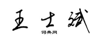 梁锦英王士斌草书个性签名怎么写