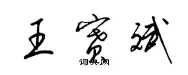 梁锦英王赛斌草书个性签名怎么写