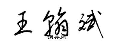 梁锦英王翰斌草书个性签名怎么写
