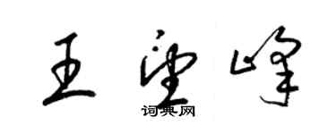 梁锦英王望峰草书个性签名怎么写