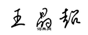 梁锦英王晶超草书个性签名怎么写