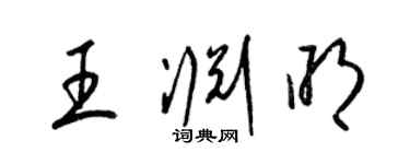 梁锦英王渊明草书个性签名怎么写