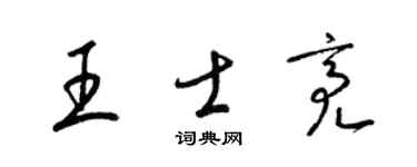 梁锦英王士亮草书个性签名怎么写