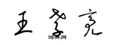 梁锦英王孝亮草书个性签名怎么写