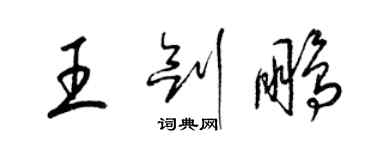 梁锦英王剑鹏草书个性签名怎么写
