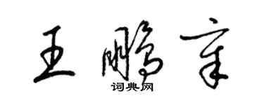 梁锦英王鹏章草书个性签名怎么写