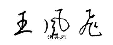 梁锦英王风飞草书个性签名怎么写