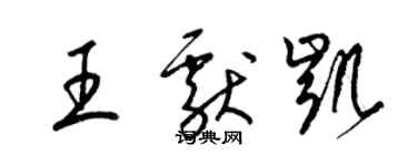 梁锦英王献凯草书个性签名怎么写