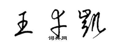 梁锦英王幸凯草书个性签名怎么写