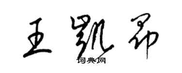 梁锦英王凯昂草书个性签名怎么写