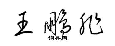梁锦英王鹏非草书个性签名怎么写
