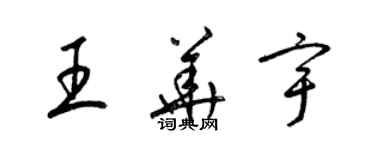 梁锦英王华宇草书个性签名怎么写