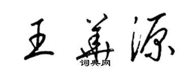梁锦英王华源草书个性签名怎么写