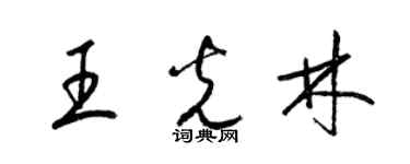 梁锦英王光林草书个性签名怎么写