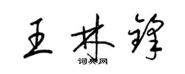 梁锦英王林锋草书个性签名怎么写