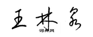 梁锦英王林泉草书个性签名怎么写