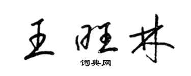 梁锦英王旺林草书个性签名怎么写