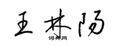 梁锦英王林阳草书个性签名怎么写