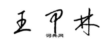 梁锦英王甲林草书个性签名怎么写