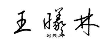 梁锦英王曦林草书个性签名怎么写